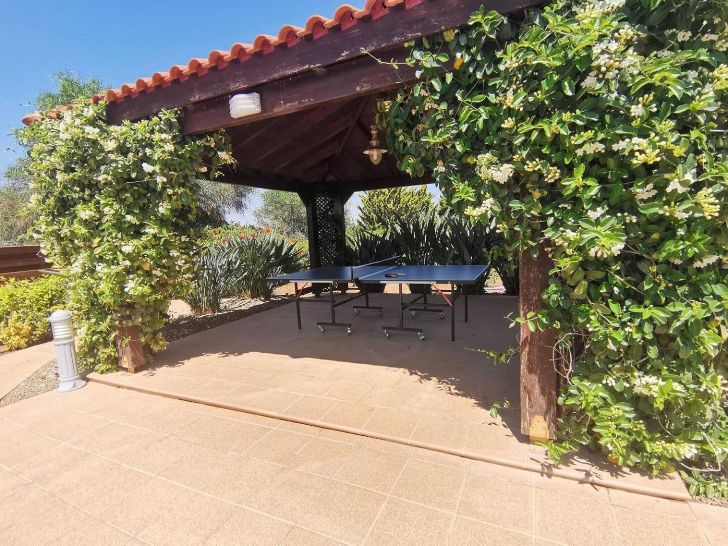 Orchard Blossom Private Villa With Pool Phrenaros Екстер'єр фото
